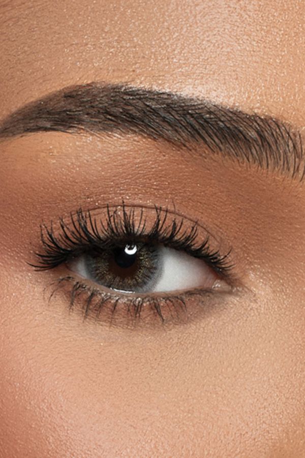 colored lenses amara lenses Sugar