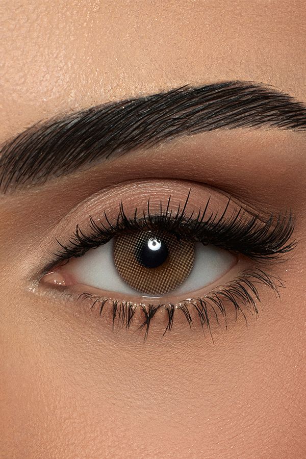 colored lenses amara lenses Daily Pure hazel