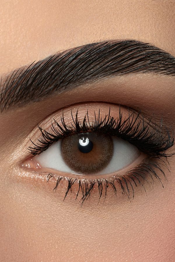 colored lenses amara lenses Daily Dark Sepia