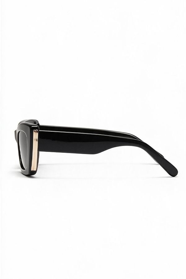 accessories sun glasses AT1111 ( C1)