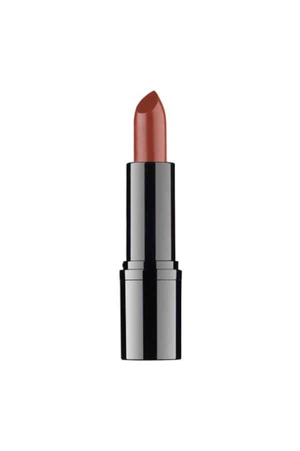 accessories lipstick PROFESSIONAL LIPSTICK  20 5