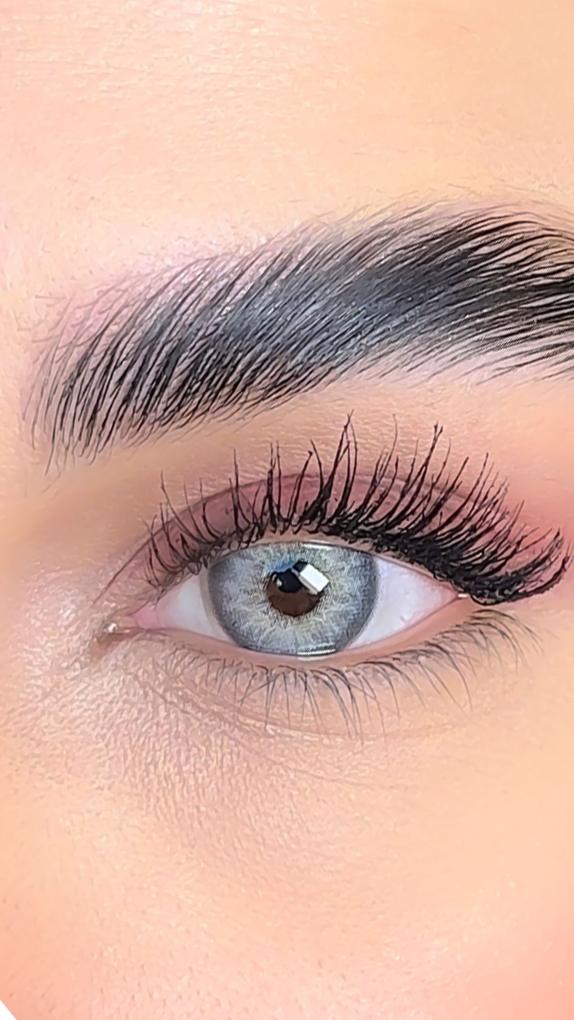 colored lenses lezza Mood Tan 12