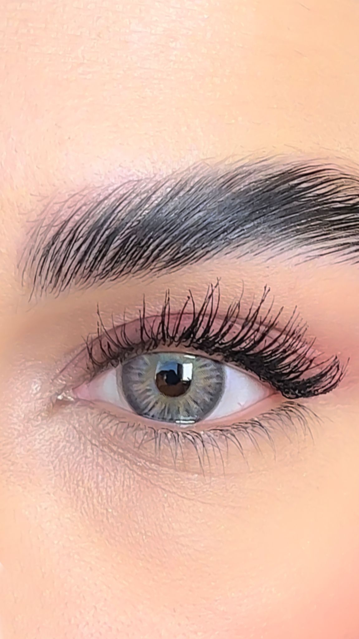 colored lenses lezza Wild Mocha 11