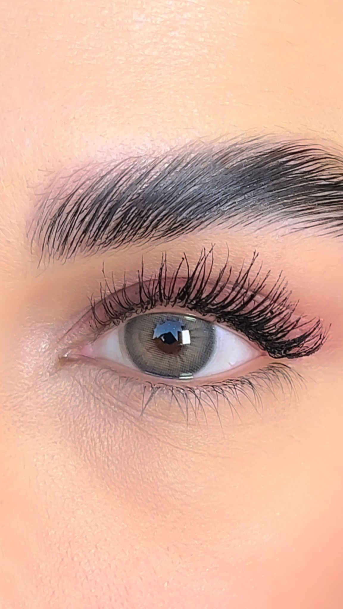 colored lenses lezza Wild Latte 10