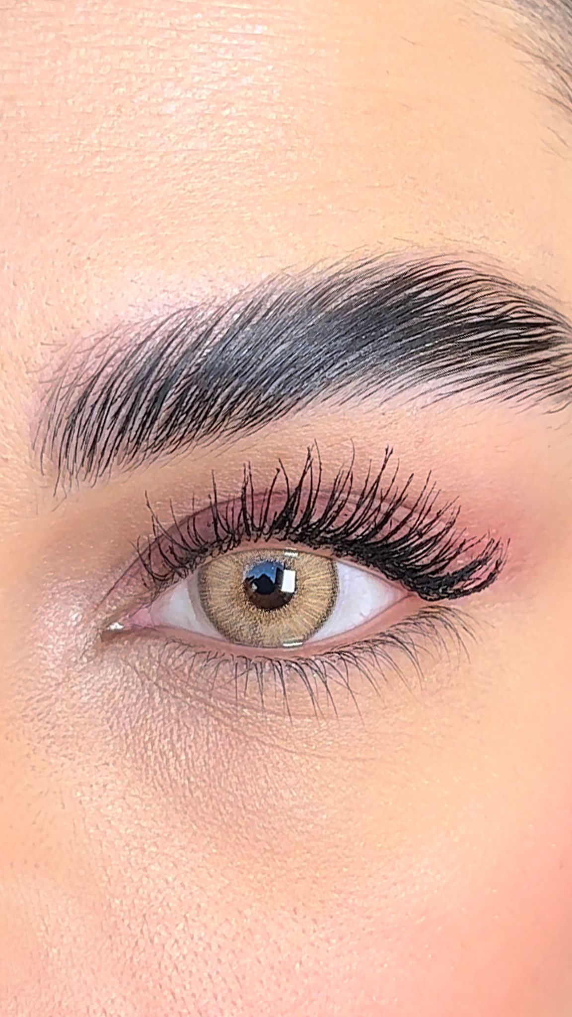 colored lenses lezza Mood  Hazel 8