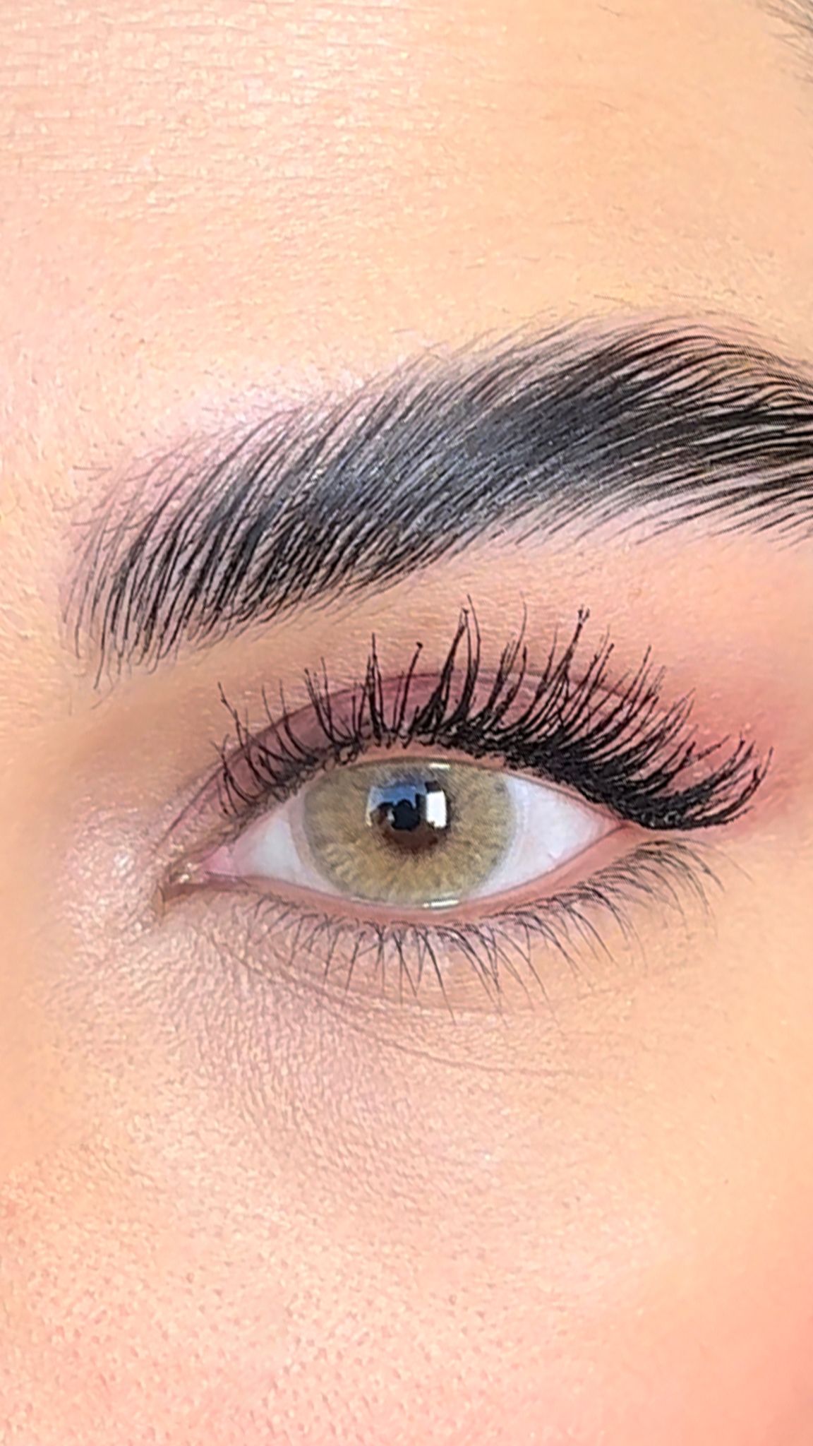 colored lenses lezza Wild Coffe 7