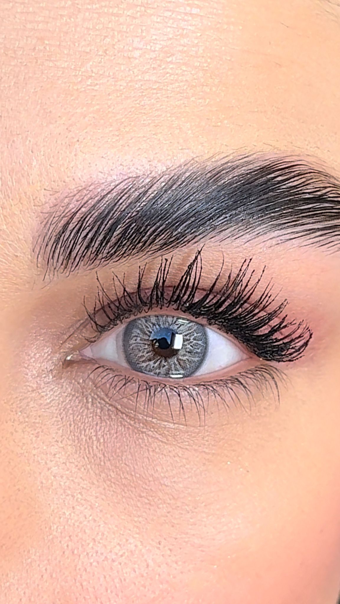 colored lenses lezza Lizz Gray 19
