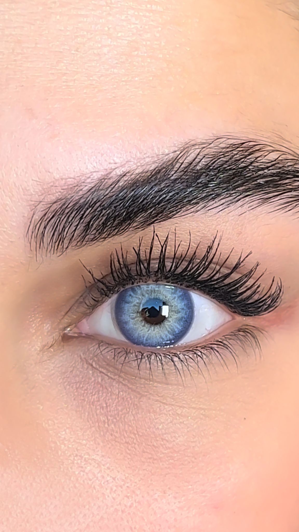 colored lenses lezza Wild Blue 18