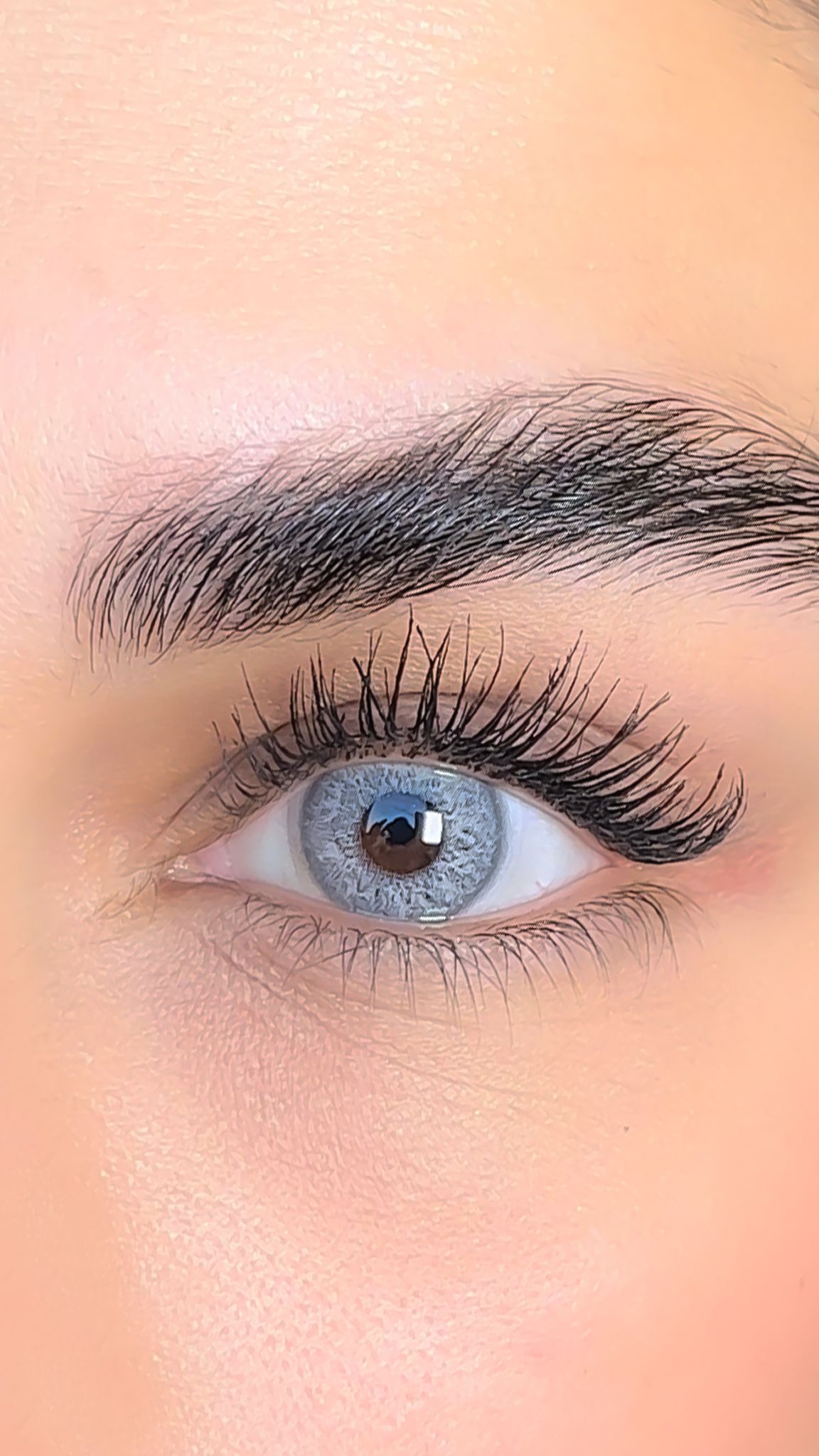 colored lenses lezza Mood Carob 4
