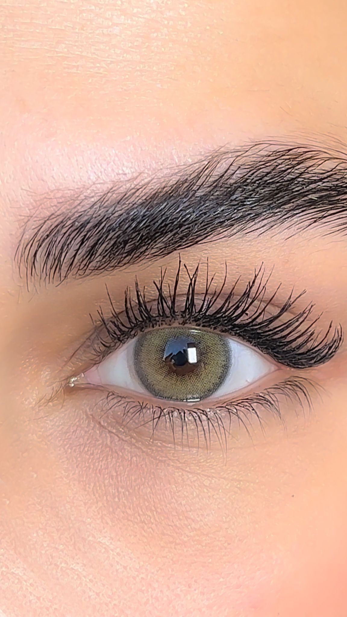 colored lenses lezza Wild Green 16