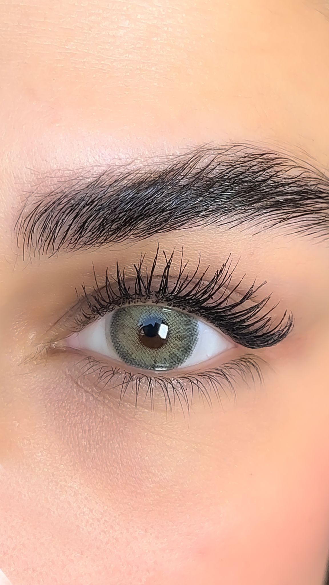 colored lenses lezza Wild Kelly 21