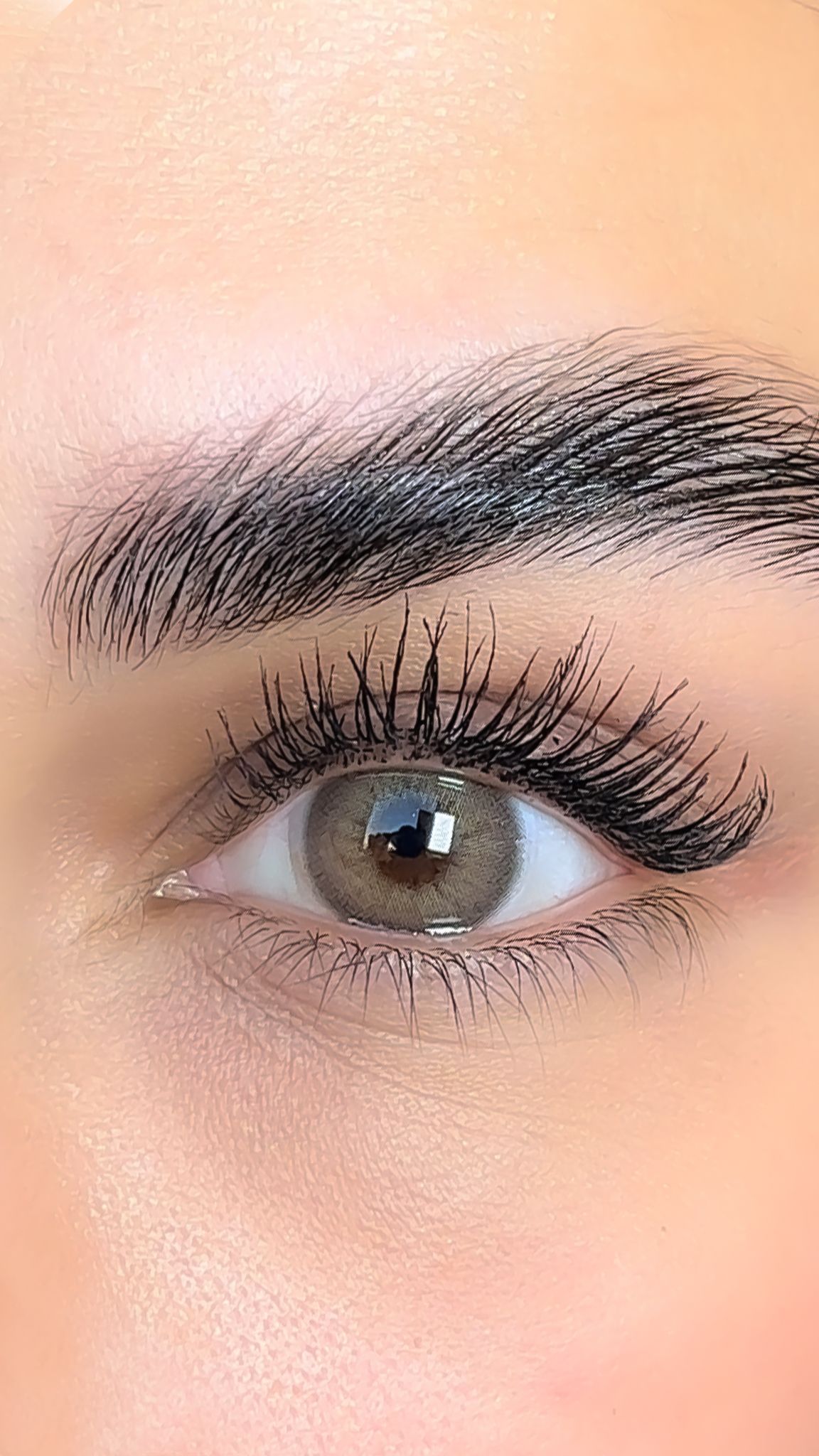 colored lenses lezza Wild Brown 18