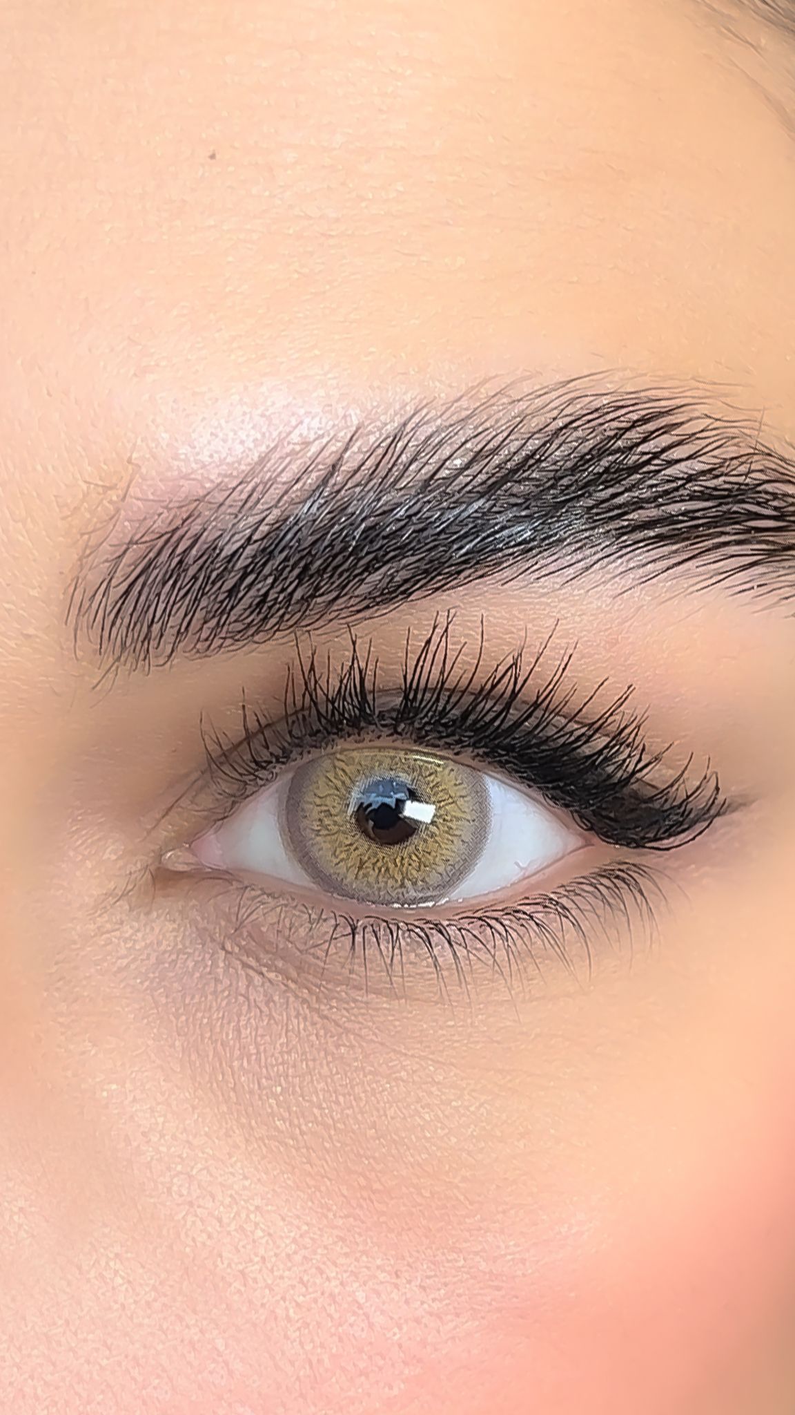 colored lenses lezza Wild Hazel 6