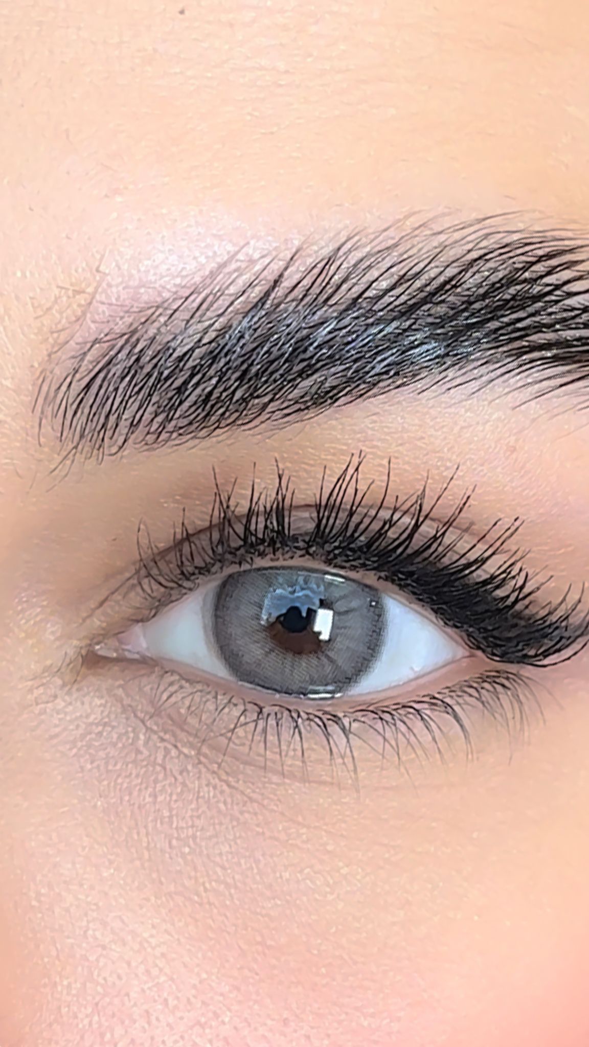 colored lenses lezza Wild Gray 4