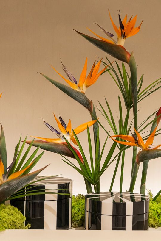 Sales Website Banner